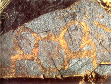 酒泉古代岩刻画