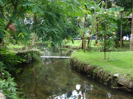 瑞丽莫里热带雨林